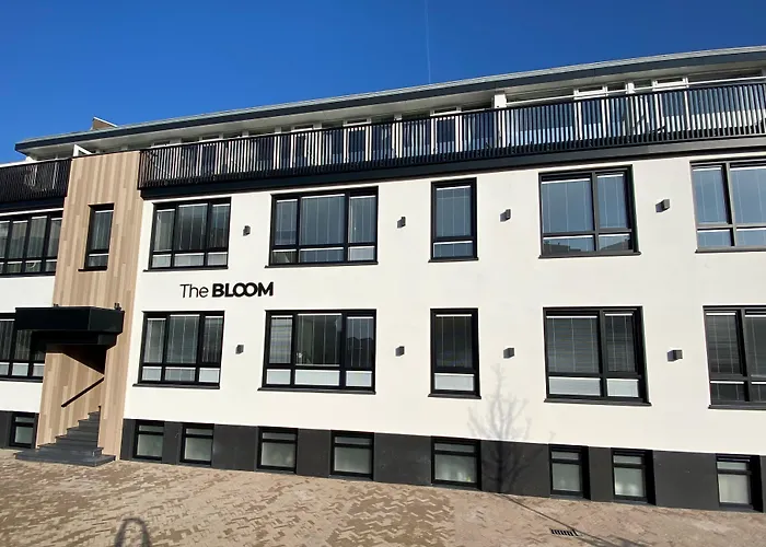  Bloom